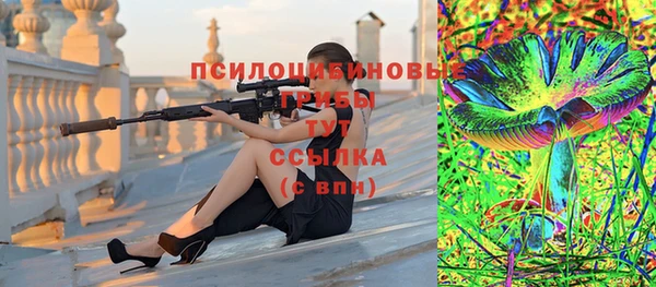 дурь Михайлов