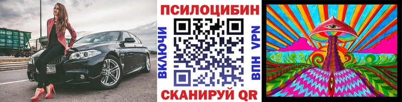 Псилоцибиновые грибы Psilocybe  Купить закладки  Оренбург 